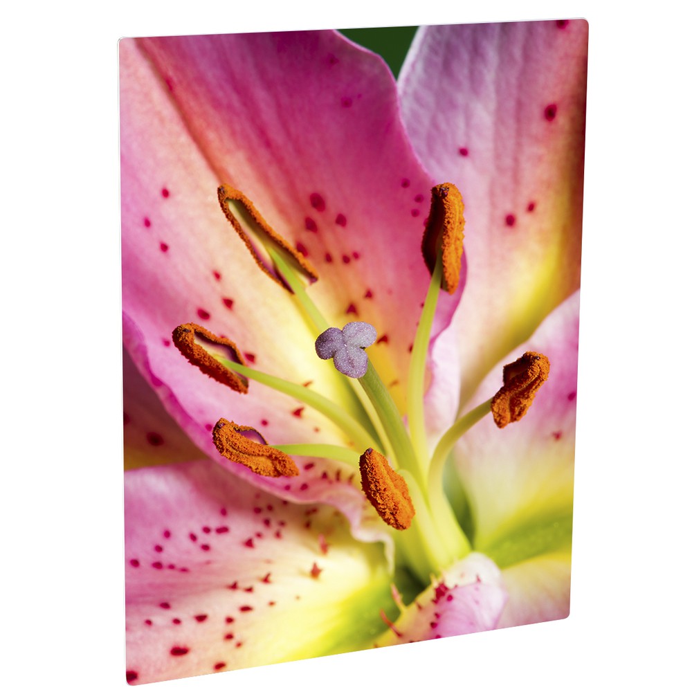 8" x 10" Metal Photo Print